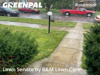 Grass Cut nearby Chicago, IL, 