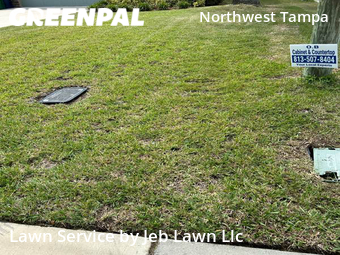 Lawn Cut nearby Tampa, FL, 