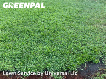 Yard Mowing nearby Oakland Park, FL, 