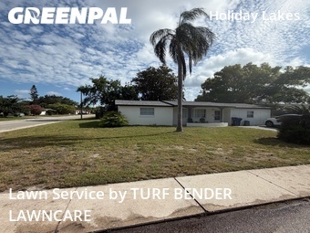 Lawn Cutting nearby New Port Richey, FL, 