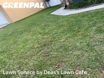 Lawn Cutting nearby Pembroke Pines, FL, 