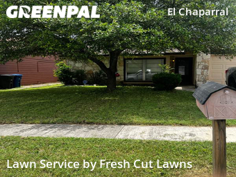 Lawn Mowing Service nearby San Antonio, TX, 