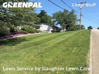 Lawn Cutting nearby Knoxville, TN, 