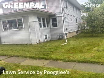 Lawn Mow nearby Buffalo, NY, 