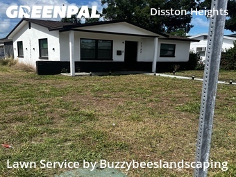 Affordable Landscaping Maintenance Services In St. Petersburg,33713,Landscaping Installation by Buzzybeeslandscaping, work completed in Jul , 2026