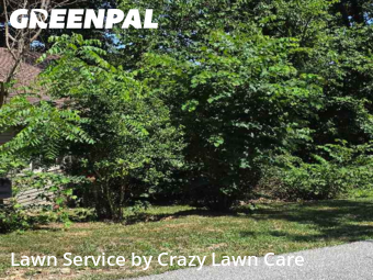 Grass Cutting nearby Bella Vista, AR, 