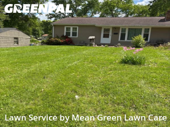 Yard Cutting nearby Raytown, MO, 