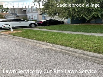 Lawn Mowing Service nearby Wesley Chapel, FL, 