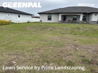 Lawn Mow nearby Cape Coral, FL, 