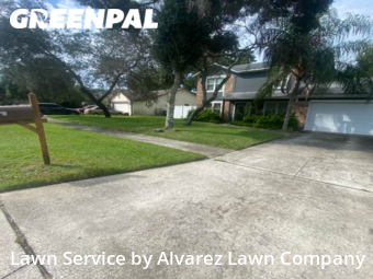 Lawn Care Servicein Pine Hills,32818,Lawn Maintenance by Alvarez Lawn Company, work completed in Jun , 2026