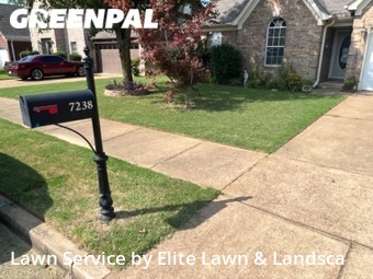 Grass Cutting nearby Olive Branch, MS, 