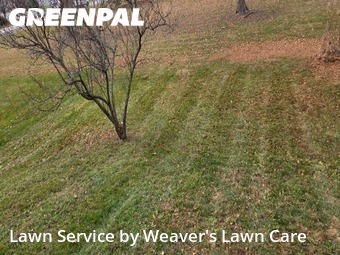 Lawn Care Service nearby Greenwood, IN, 