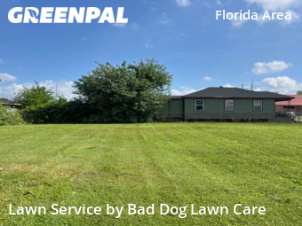 Lawn Service nearby New Orleans, LA, 