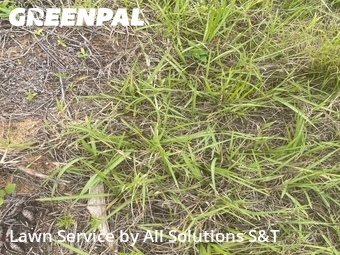 Lawn Care Service nearby Winter Haven, FL, 