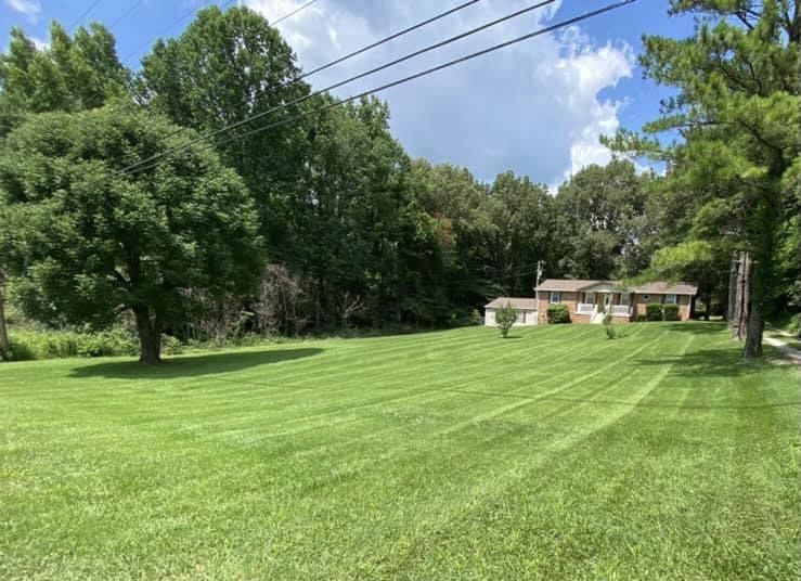 Champion Lawn Care Lawn Care Services in Chapmansboro, GA