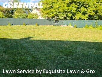 Yard Cutting nearby Silver Spring, DC, 