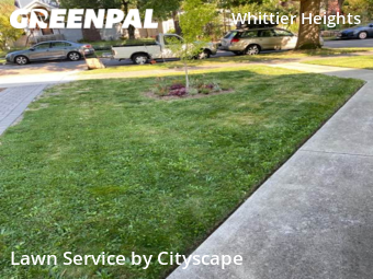 Lawn Mowing Service nearby Seattle, WA, 