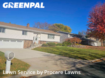 Yard Services in Saint Paul, 55118, Lawn Work by Procare Lawns, work completed in Nov , 2025