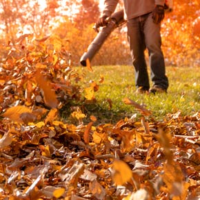 affordable-landscaping-maintenance-services-in-Apple Valley-MN