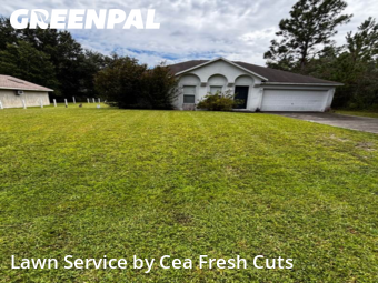 Grass Cut nearby Ocala, FL, 