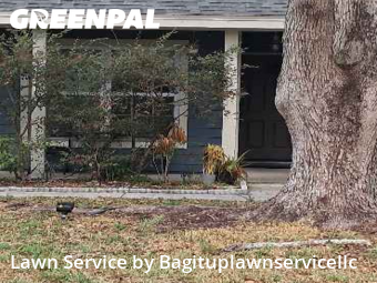 Grass Cut nearby Apopka, FL, 