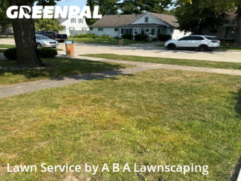 Lawn Care nearby Southgate, MI, 