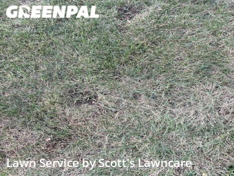 Lawn Mowing nearby Parma, OH, 