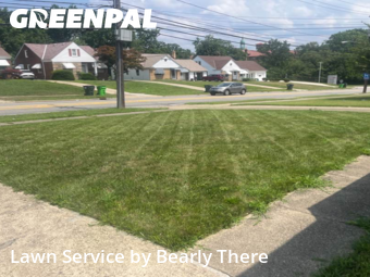 Yard Mowing nearby Cleveland, OH, 
