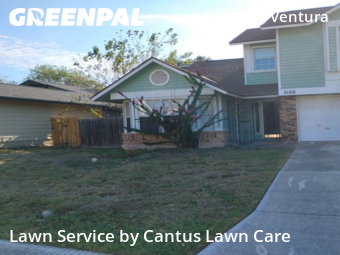 Grass Cut nearby San Antonio, TX, 