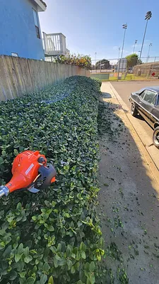 Pacific Lawn Mower Works Photo 13