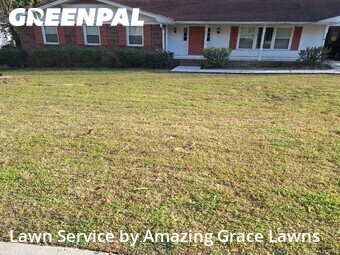 Grass Cutting nearby Snellville, GA, 