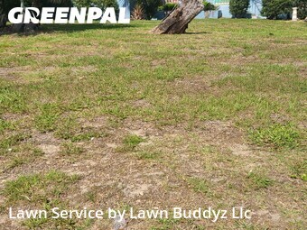 Lawn Care nearby Daytona Beach, FL, 