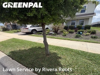 Grass Cutting nearby St. Cloud, FL, 