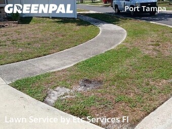 Lawn Care Service nearby Tampa, FL, 