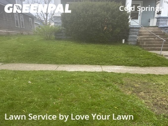 Lawn Care nearby Buffalo, NY, 