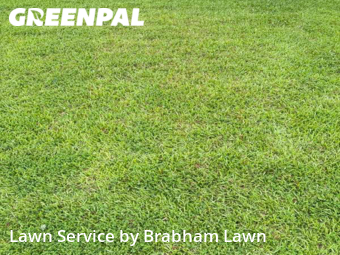 Lawn Maintenance nearby Gonzales, LA, 