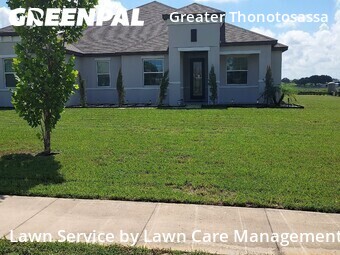 Lawn Mow nearby Thonotosassa, FL, 