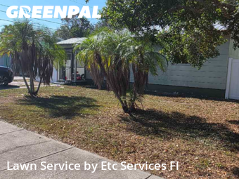 Grass Cutting in Gulfport, 33707, Yard Cutting by Etc Services Fl, work completed in Dec , 2025