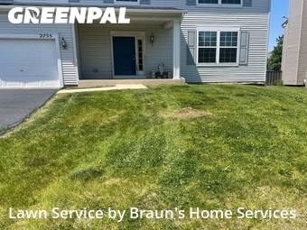 Lawn Servicein Aurora,60503,Yard Cutting by Braun's Home Services, work completed in Jun , 2026