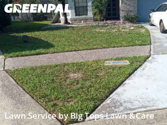 Backyard Mowing in University, 32817, Lawn Maintenance by Big Tops Lawn &Care, work completed in Nov , 2025