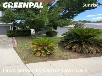 Lawn Service nearby San Antonio, TX, 