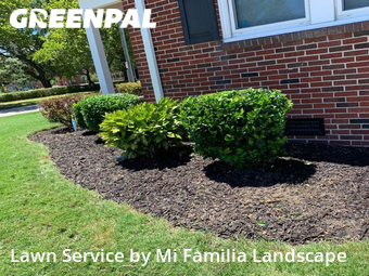 Lawn Cut nearby Norfolk, VA, 