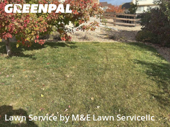 Lawn Service nearby Aurora, CO, 