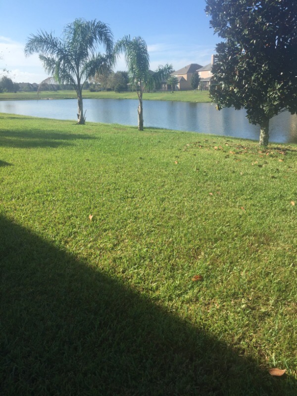 Cayering Services Lawn Care Services in Palm Coast, FL