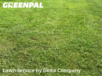 Grass Cut nearby Portland, KY, 