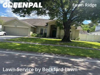 Lawn Mowing nearby Tampa, FL, 
