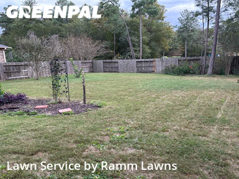 Lawn Mowing nearby Conroe, TX, 