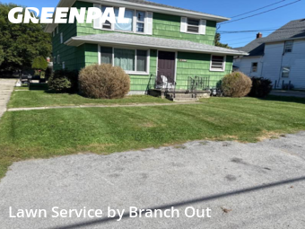 Lawn Mow nearby Buffalo, NY, 