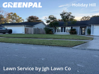 Grass Cut nearby Jacksonville, FL, 