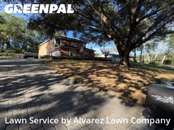 Lawn Carein Altamonte Springs,32701,Grass Cut by Alvarez Lawn Company, work completed in Jan , 2026